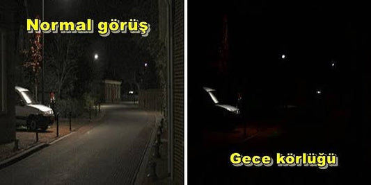 Tavuk Karası (Gece Körlüğü) Nedir ?