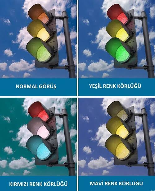 Renk Körlüğü Nedir ? Türleri Nelerdir ?