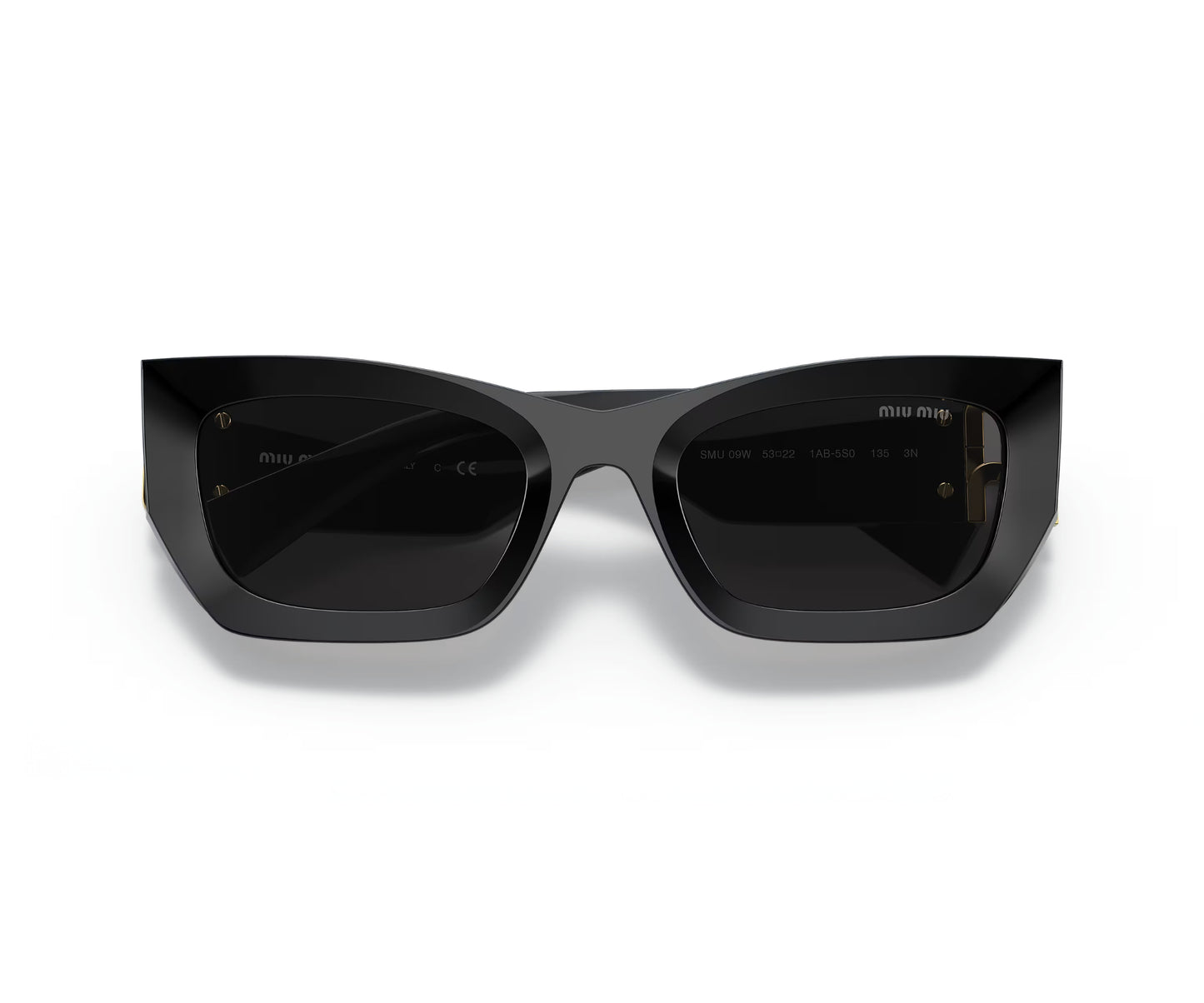 Miu Miu MU 09WS 1425S0 Kadın Güneş Gözlüğü