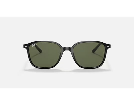 Ray-Ban RB 2193 901/31 Leonard Güneş Gözlüğü