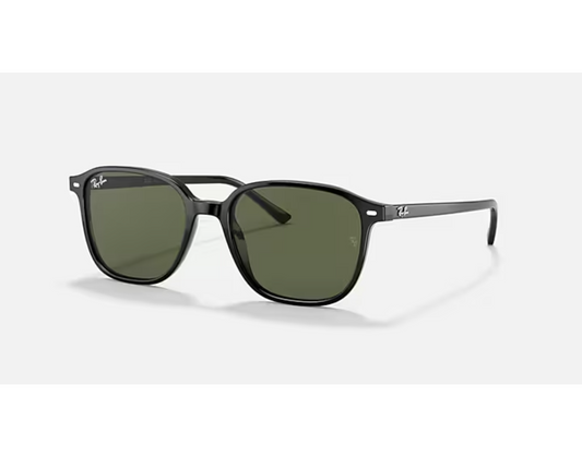 Ray-Ban RB 2193 901/31 Leonard Güneş Gözlüğü