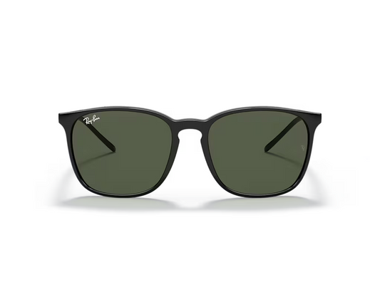 Ray-Ban RB 4387 Güneş Gözlüğü