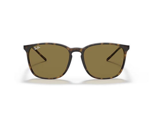 Ray-Ban RB 4387 Güneş Gözlüğü