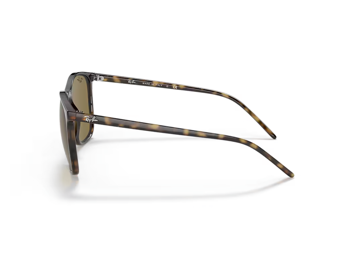 Ray-Ban RB 4387 Güneş Gözlüğü