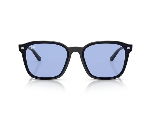 Ray-Ban RB 4392D Güneş Gözlüğü