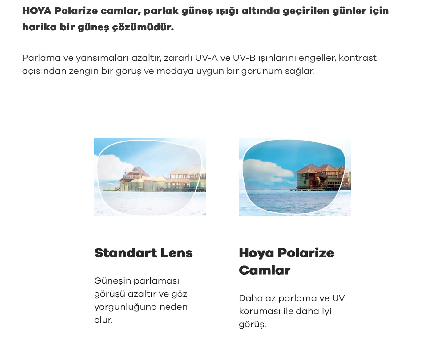 Hoya Polarize Tek Odaklı Özel Üretim Camlar