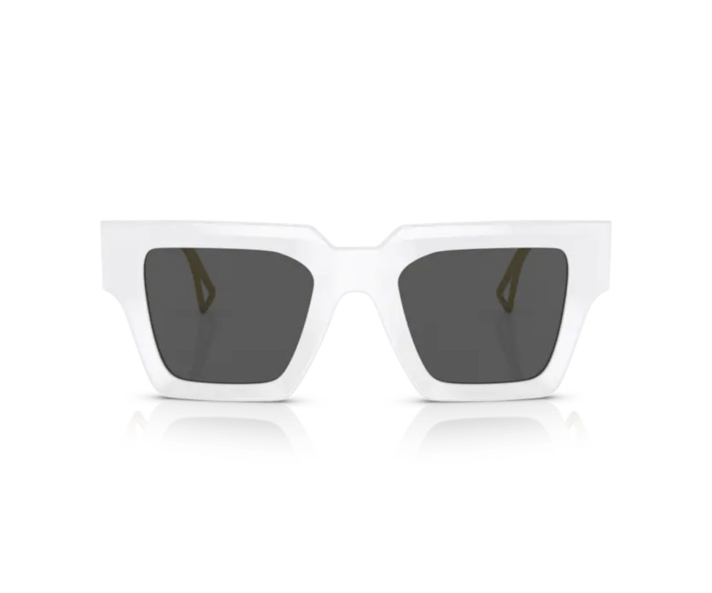 Versace VE 4431 Kadın Güneş Gözlüğü