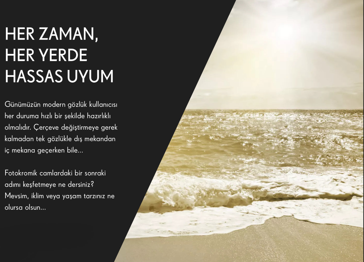 Seiko Sensity & Sensity 2 – Tek Odaklı Fotokromik Camlar