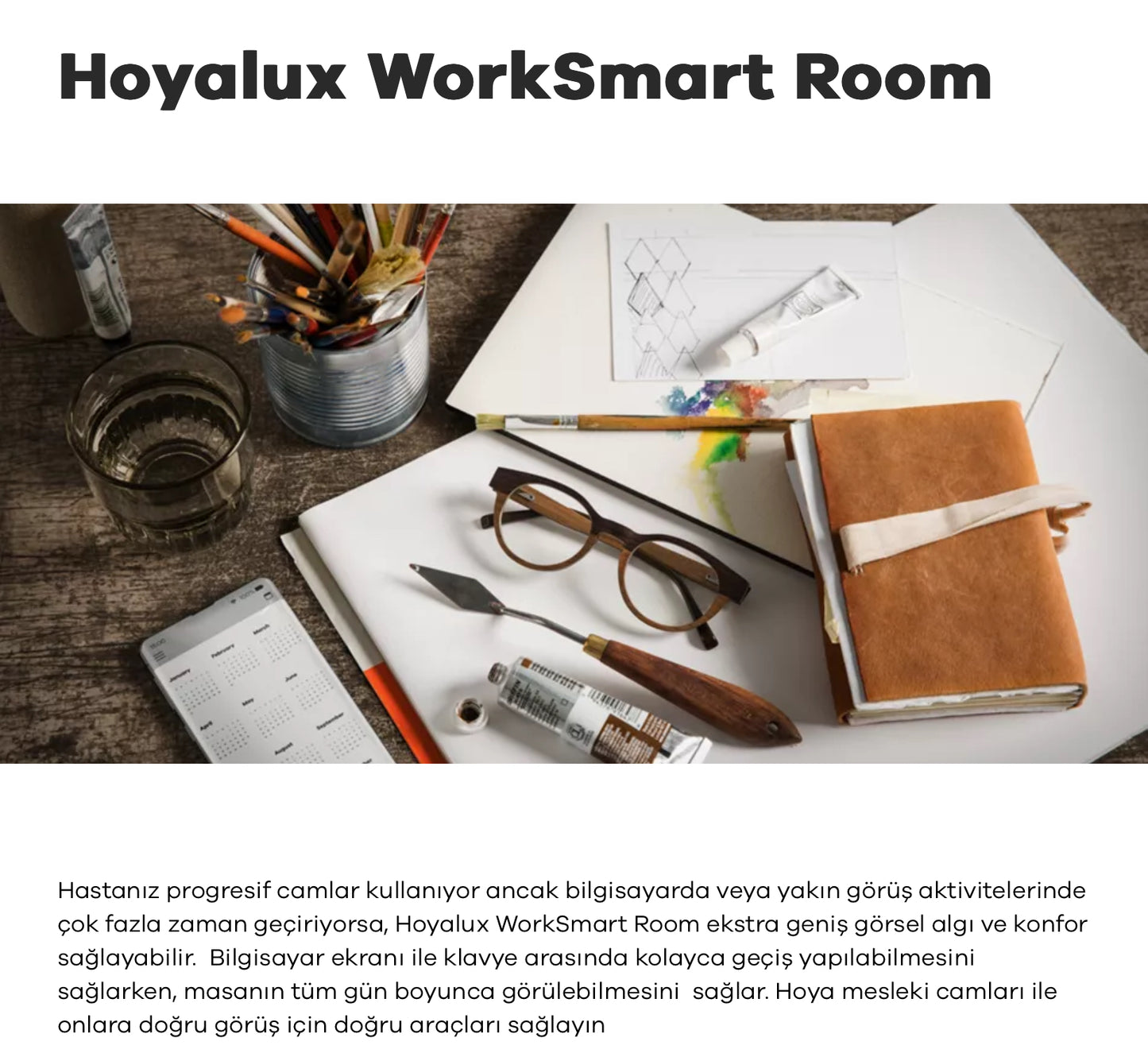 Hoya İndoor Camlar Mesleğe Uygun Ofis Camı