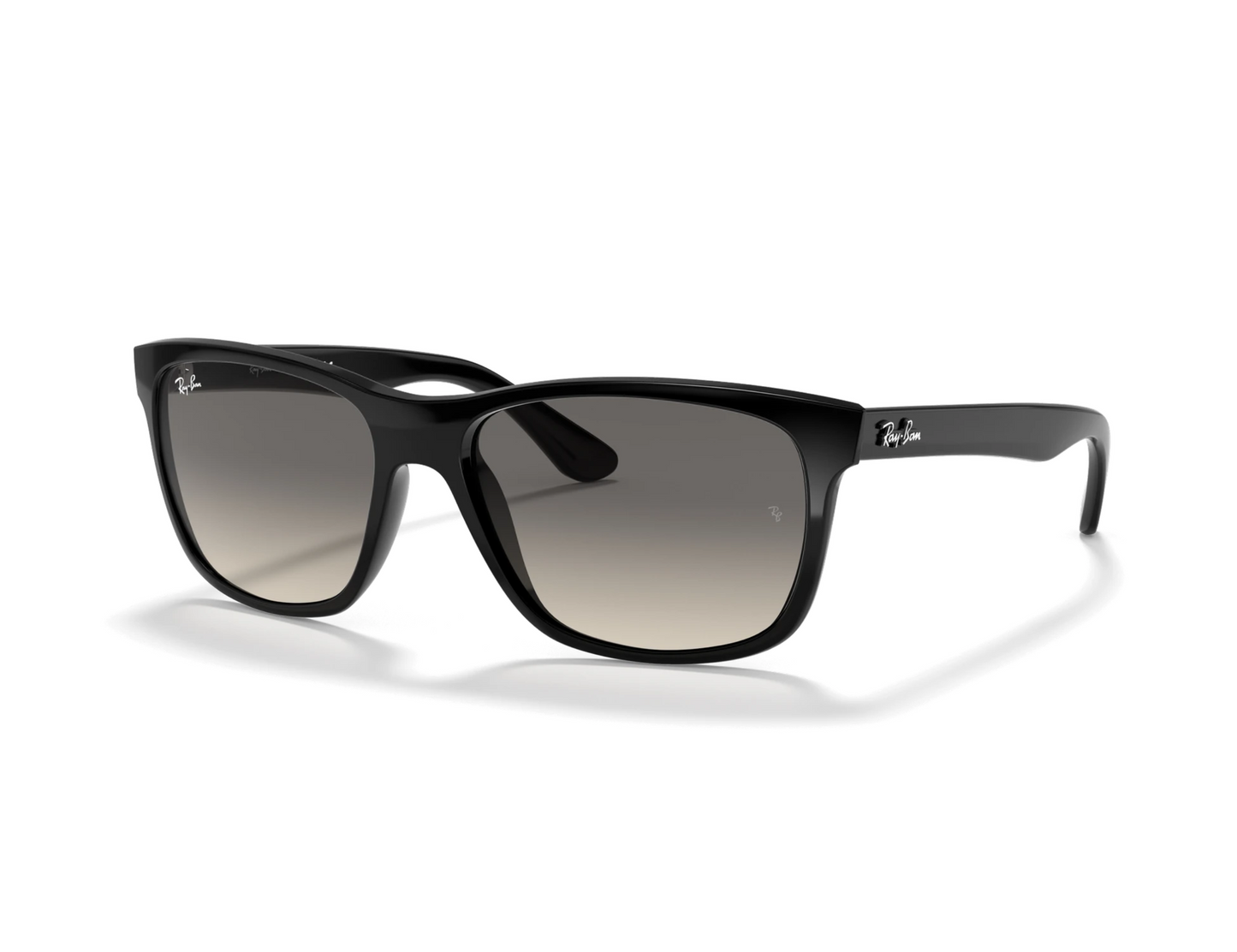 Ray-Ban RB 4181 Güneş Gözlüğü