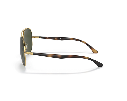 Ray-Ban RB 3675 Güneş Gözlüğü