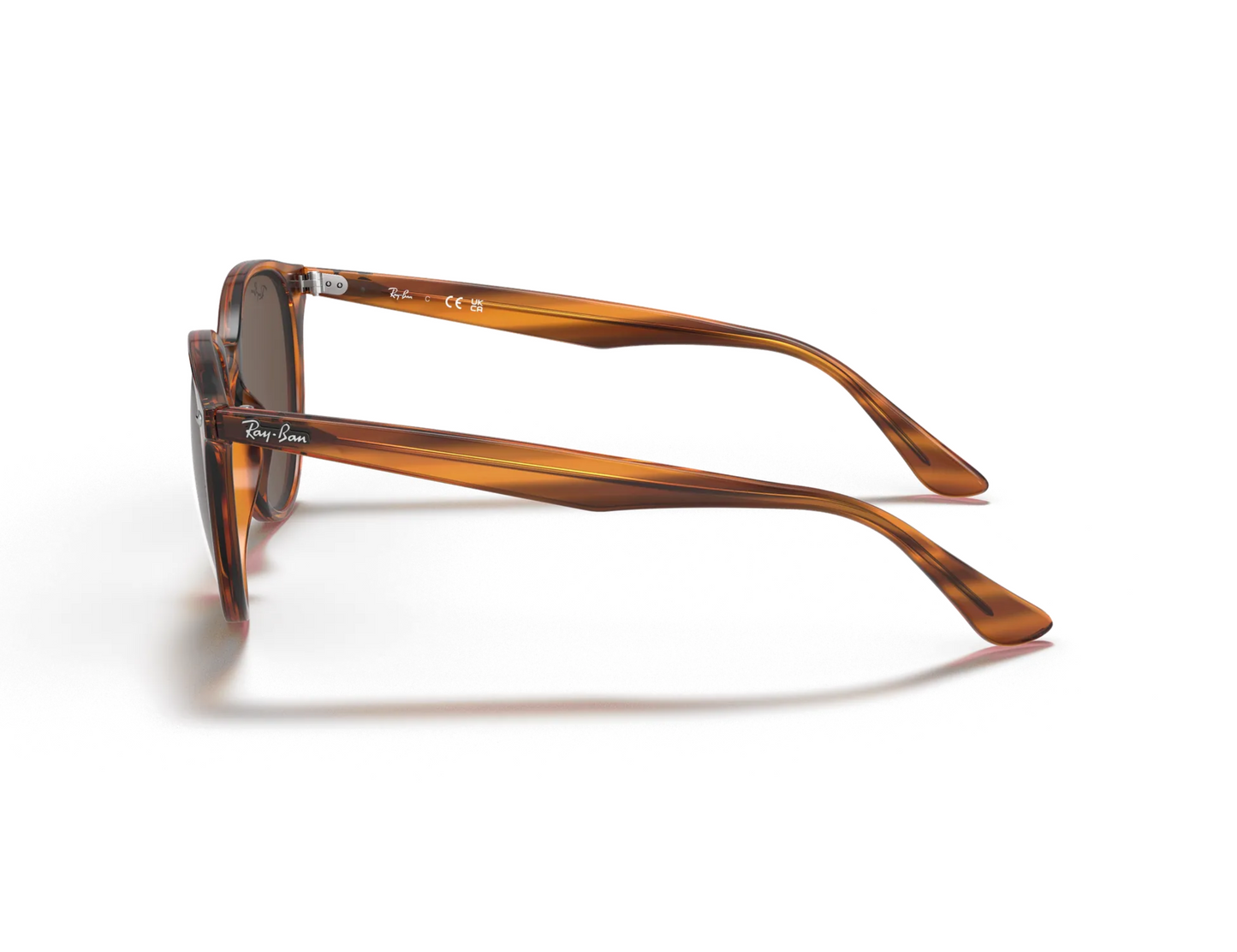 Ray-Ban RB 4305 Güneş Gözlüğü