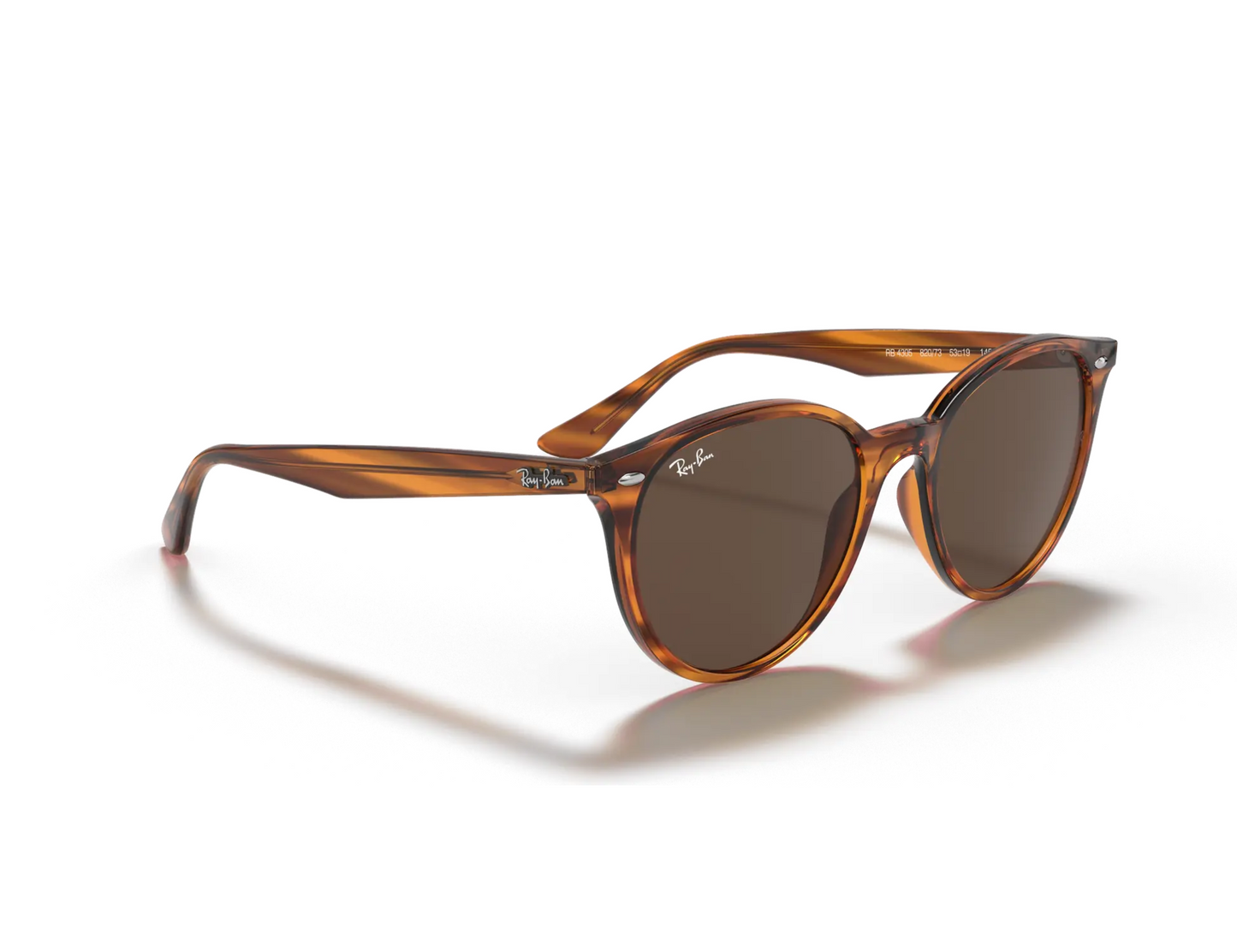 Ray-Ban RB 4305 Güneş Gözlüğü