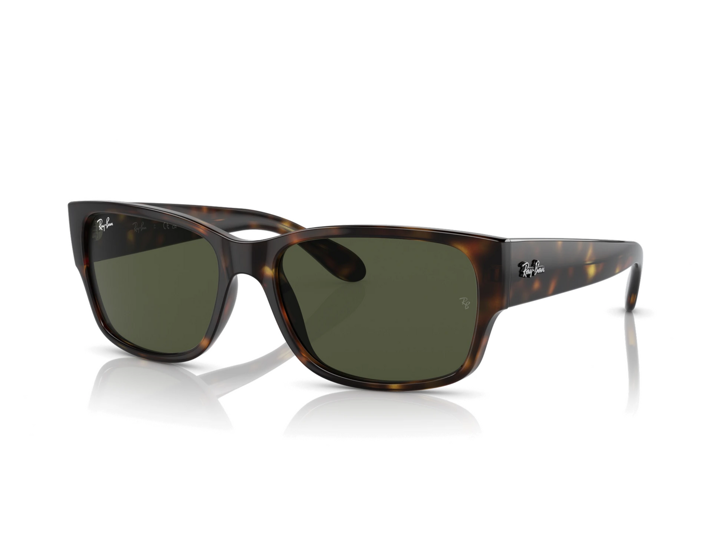 Ray-Ban RB 4388 Güneş Gözlüğü