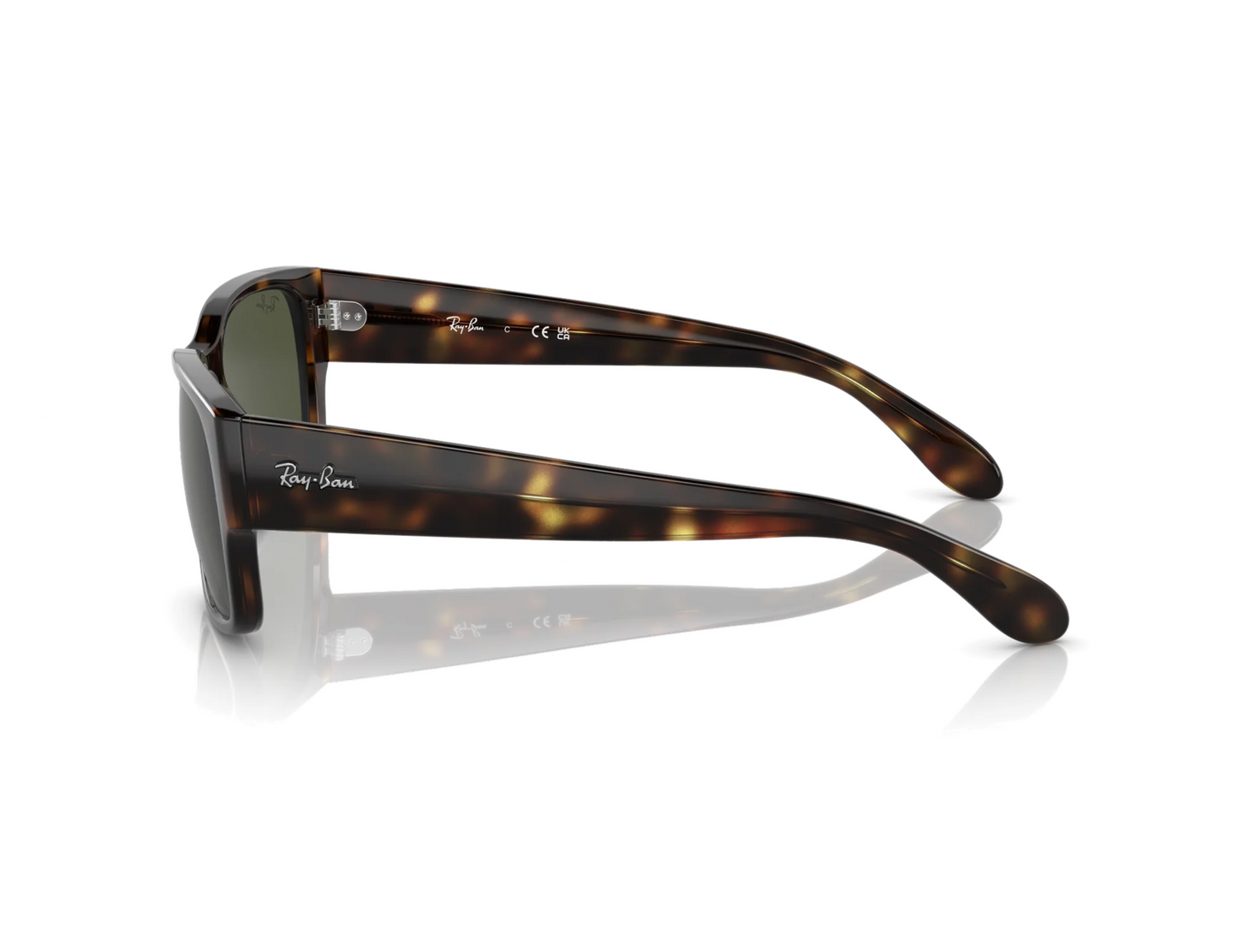 Ray-Ban RB 4388 Güneş Gözlüğü