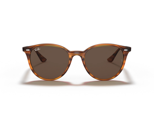 Ray-Ban RB 4305 Güneş Gözlüğü