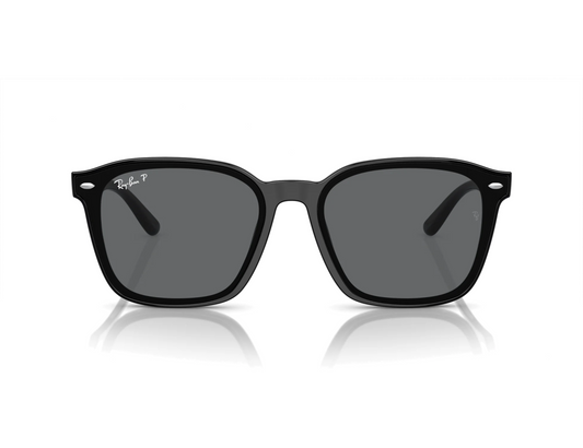 Ray-Ban RB 4392D Güneş Gözlüğü