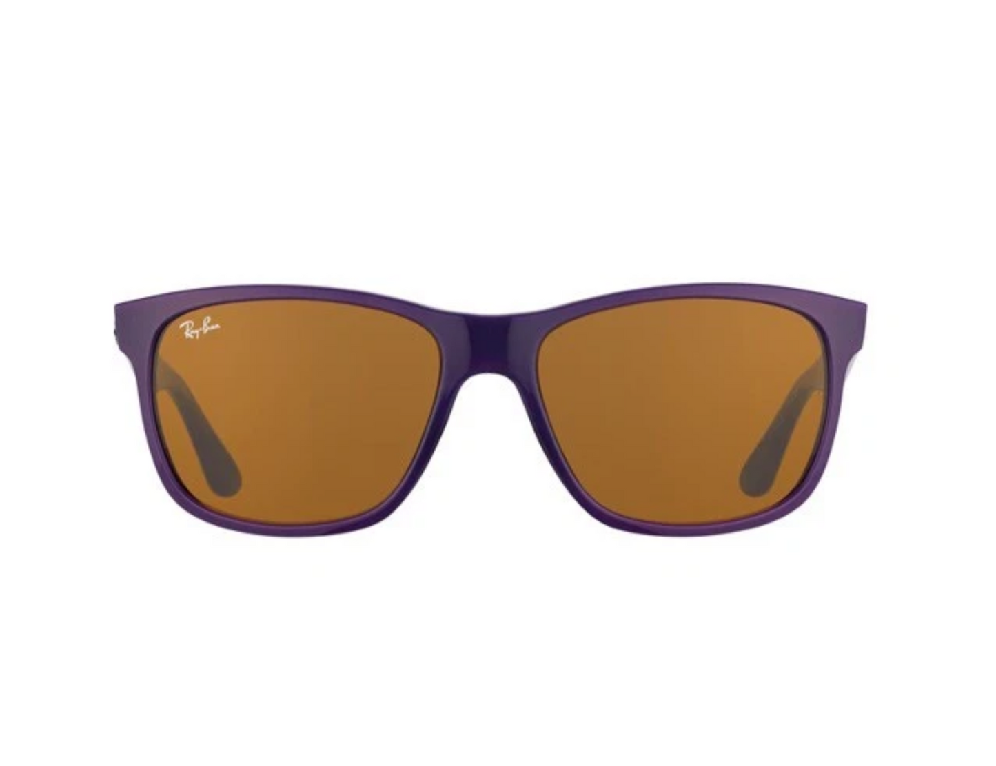 Ray-Ban RB 4181 Güneş Gözlüğü