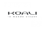 19-koali